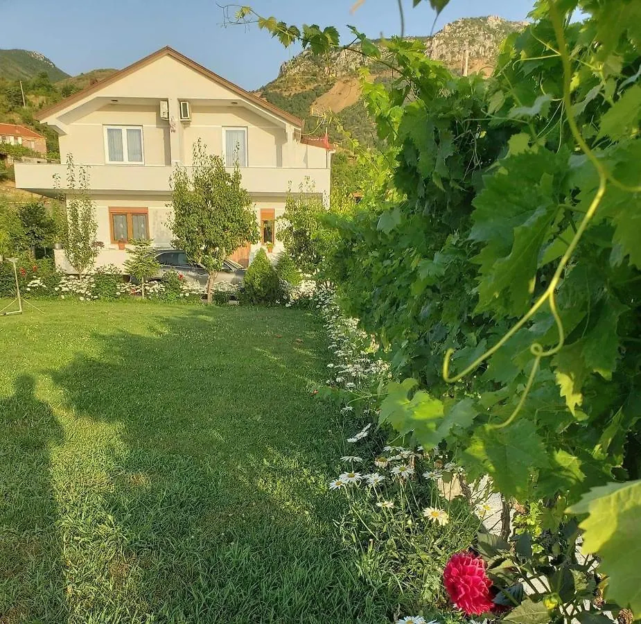 Villa Rejan Udenisht Гостевой дом