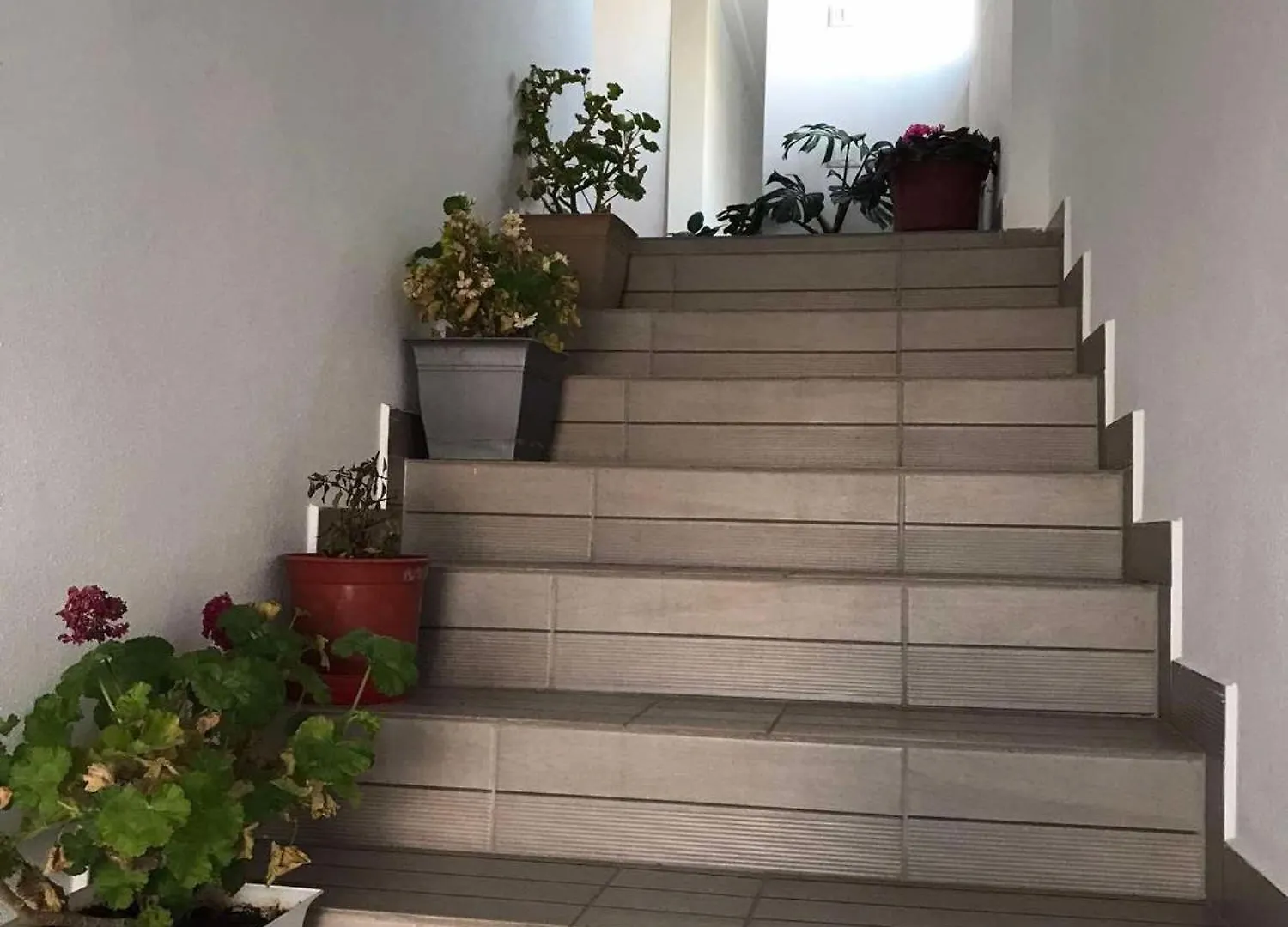 Гостевой дом Villa Rejan Udenisht Албания
